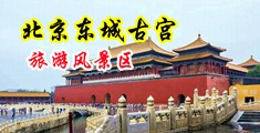 我想耍大鸡巴插视频中国北京-东城古宫旅游风景区